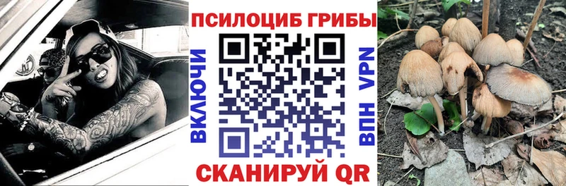 Галлюциногенные грибы мицелий  Сольцы 